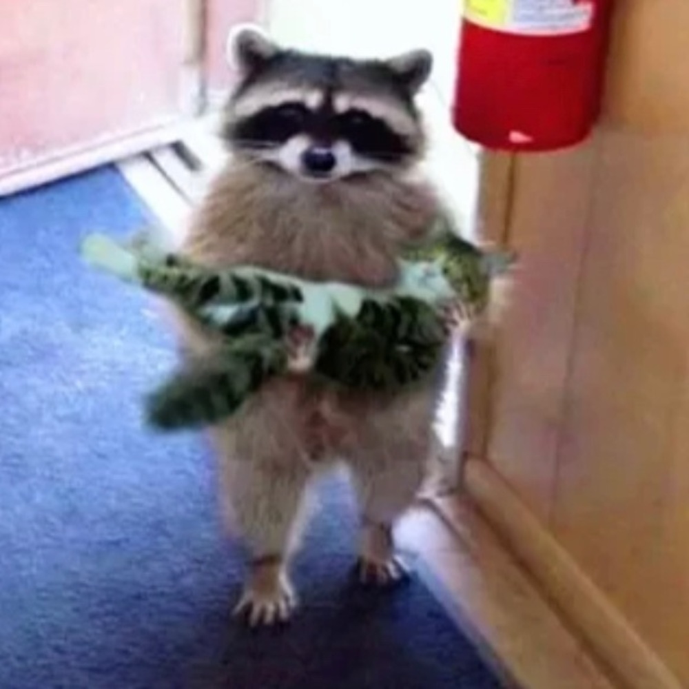 Meet your Posher, Arianna